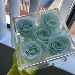 Venus Et Fleur acrylic box